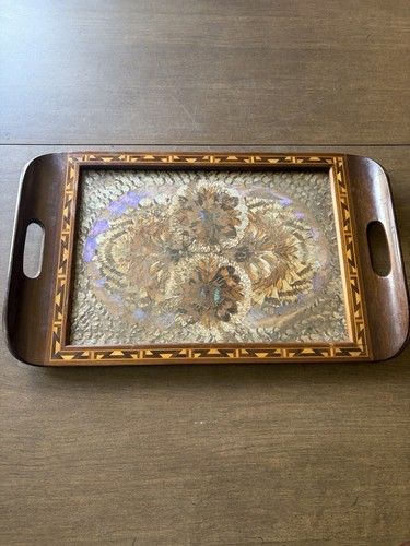 Vintage brazilian butterfly - vintage,