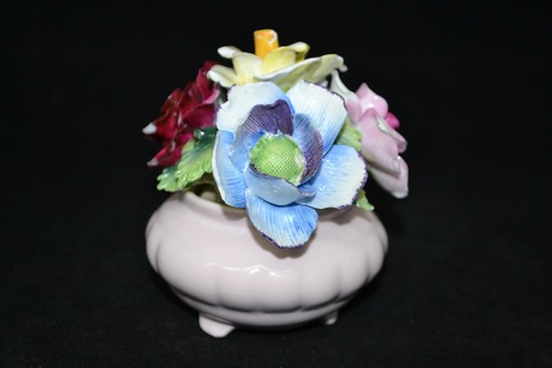 Vintage radnor bone china - bone,