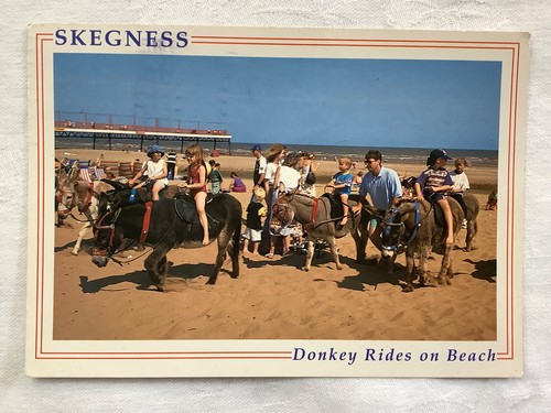 Donkey rides beach - rides, on