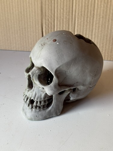 Classic cracked skull large - cracked,
