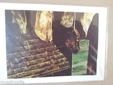 handmade birthday / greetings card AIR DRIED MEAT and BACON