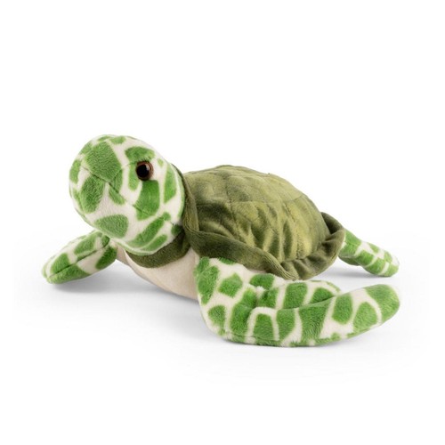 Living nature sea turtle - living,