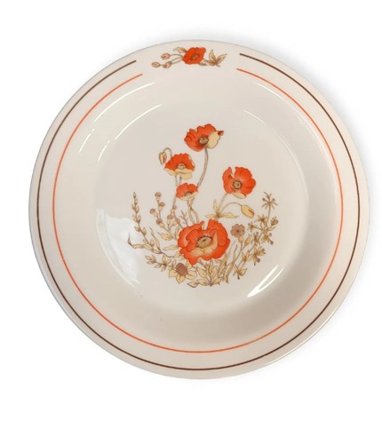 Vintage arcopal pasta plates - arcopal,