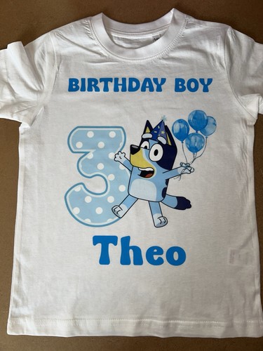 Bluey inspired birthday boy/
