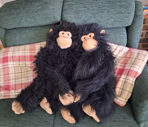 Extra large chimpanzee - 2, x