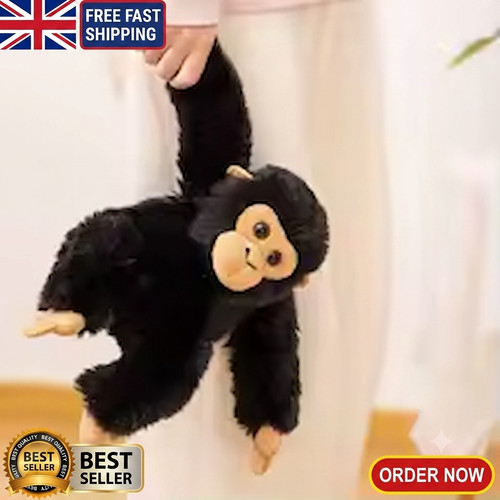 Chimp soft teddy - chimp, toy