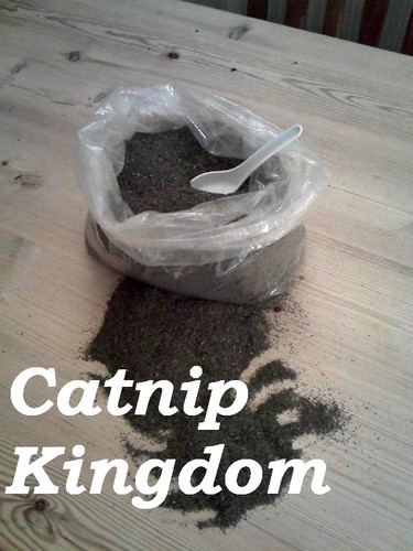 Catnip premium canadian - catnip,