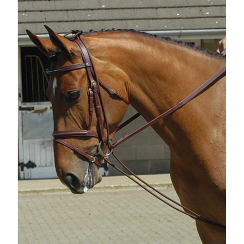 John whitaker horse - horse, training