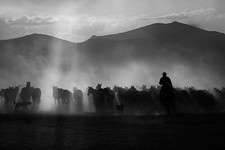 Cowboy By Emine Basa Horse Photography Giclee Art Print Ships Free