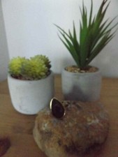 Lola Rose brushed goldtone