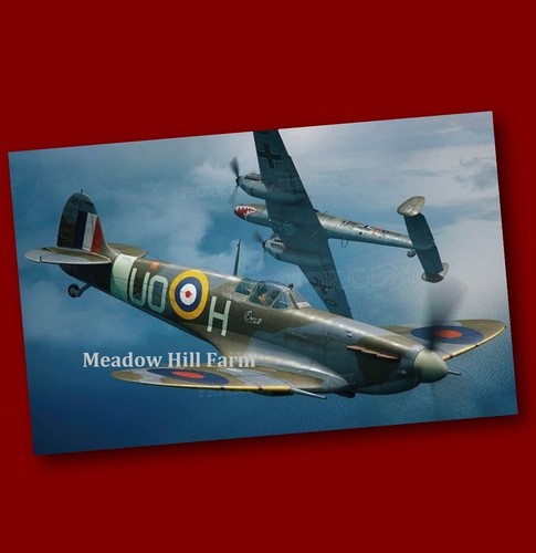 Fridge magnet raf spitfire ww2 - fridge,