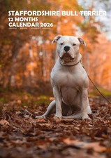 Staffordshire Bull Terrier A3 2026 Calendar