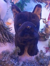 French Bulldog Pup In Black
