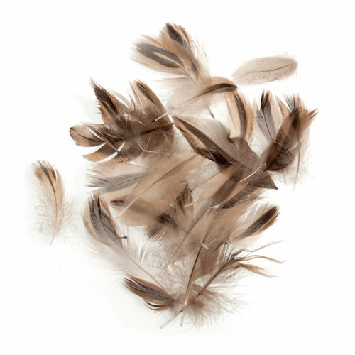 Trimits duck feathers - duck,