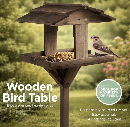 Wooden bird table feeding - bird,