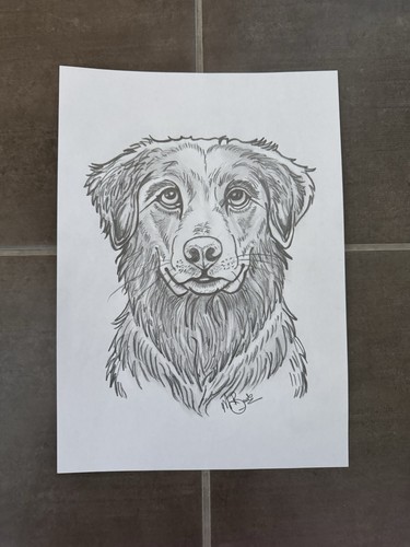 Original hand drawn black - original,