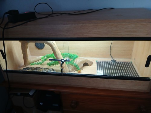 Terrapod 3ft vivarium used