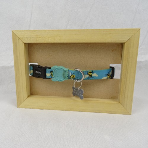 Pet collar display - pet,