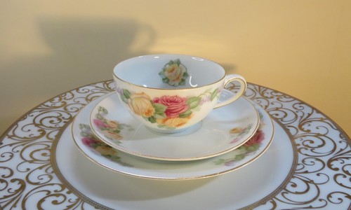 Thomas bavaria bon china - bon,
