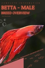 Novitsky - Betta - male  From