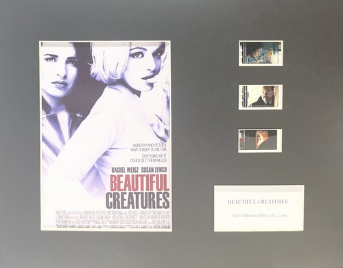 Beautiful creatures - beautiful,