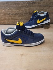 Nike Dunk Low Nike Renzo Blue
