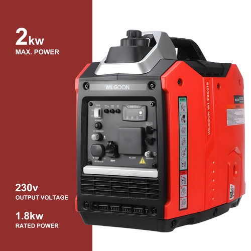 Portable petrol generator - 4.6l,