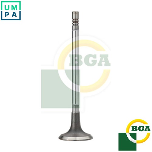 Intake valve v200002 for - valve,