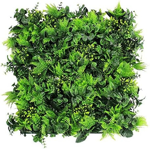 Pack resistant boxwood - uv,