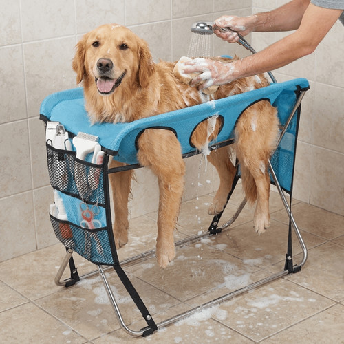 Pet grooming washing - grooming,