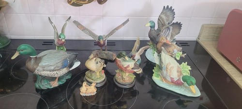 Bundle duck ornaments - of,