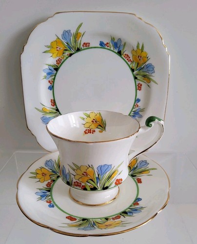 Paragon fine bone - paragon,