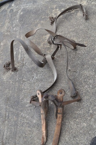 Vintage pony original donkey
