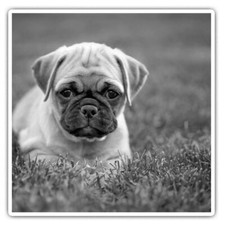 2 x Square Stickers 10 cm -