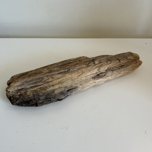 Driftwood piece natural - 1, –