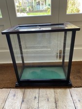 Antique Shop/Apothecary