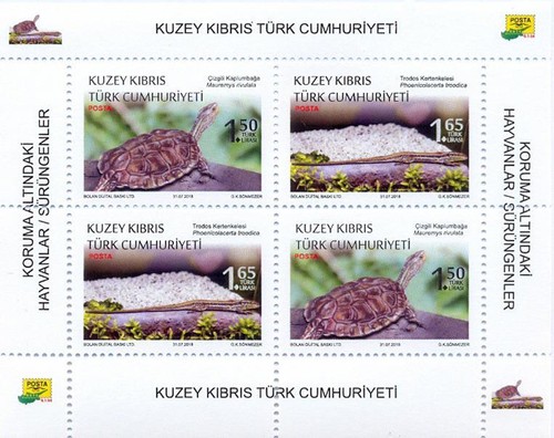 Protected animals reptiles - animals, &