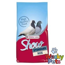 Quality show pigeon - pigeon, feed