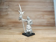 Dark Elves AB Elf Black Guard