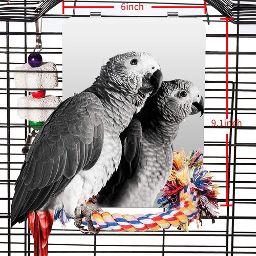Stainless steel bird - stainless,