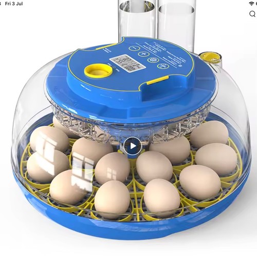 Wonegg egg incubator - 18,