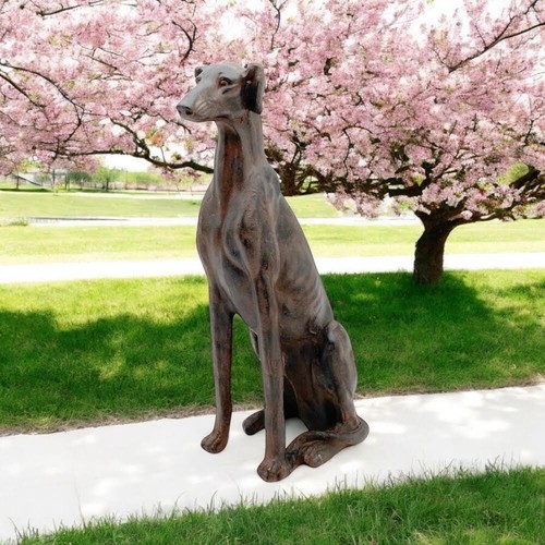 77cm sitting greyhound - sitting,