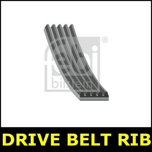 Drive belt fits bmw e36 - e36, z3