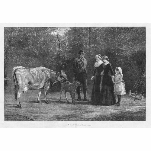 Heywood hardy new arrival - a,
