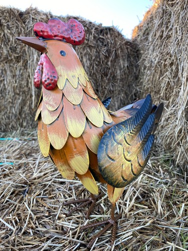Metal yellow hen chicken - yellow, /