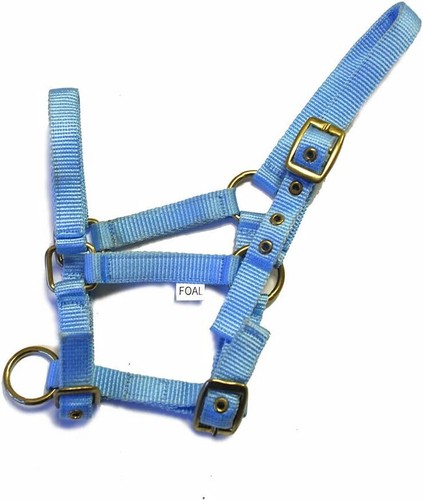 Rhinegold nylon foal - rhinegold,
