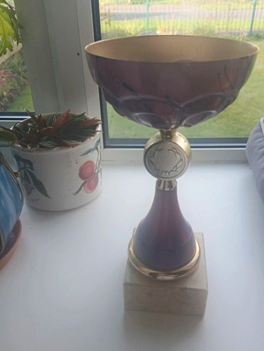 Purple plastic football trophy - purple,