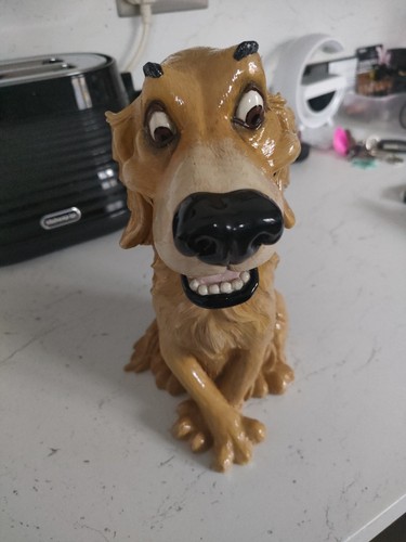 Golden retriever pets - golden,