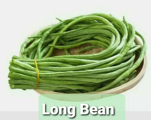 Indian bangladeshi thai - indian,bangladeshi,thai, seeds