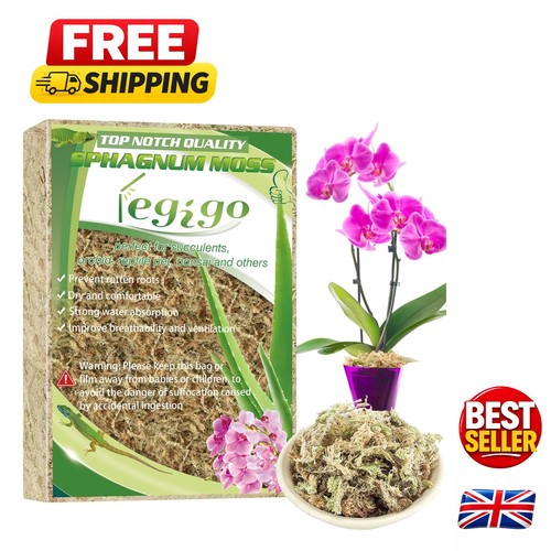 Sphagnum moss mix - moss,